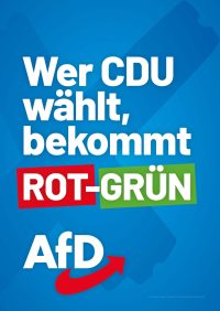 AfD Sachsen Themenplakate_LTW24_