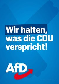 AfD Sachsen Themenplakate_LTW24_10