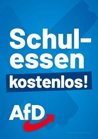AfD Sachsen Themenplakate_LTW24_13