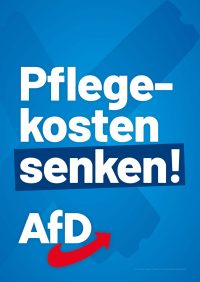 AfD Sachsen Themenplakate_LTW24_15