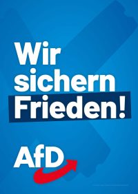AfD Sachsen Themenplakate_LTW24_2