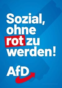 AfD Sachsen Themenplakate_LTW24_3