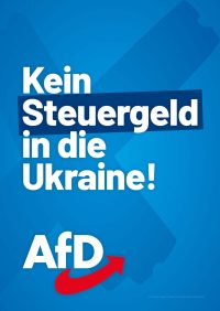 AfD Sachsen Themenplakate_LTW24_4