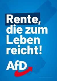 AfD Sachsen Themenplakate_LTW24_5
