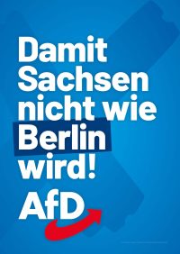 AfD Sachsen Themenplakate_LTW24_6