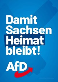 AfD Sachsen Themenplakate_LTW24_7