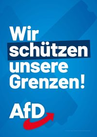 AfD Sachsen Themenplakate_LTW24_9