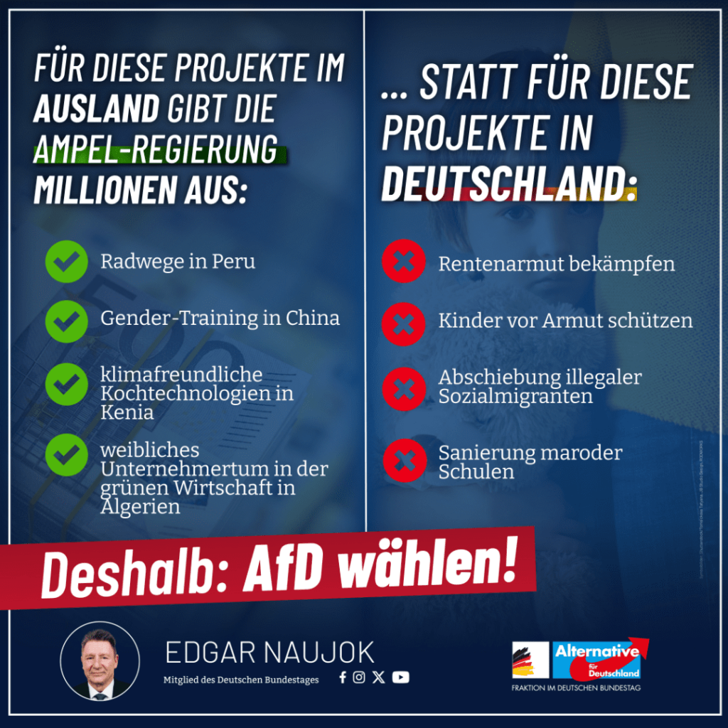 Edgar Naujok: NEIN zum Irrsinn dieser Ampel-Regierung! 🚦🚫