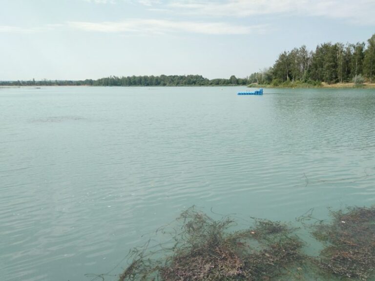 Naturbad Luppa: AfD setzt sich für Lösung ein