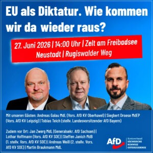 Neustadt in Sachsen - EU als Diktuatur
